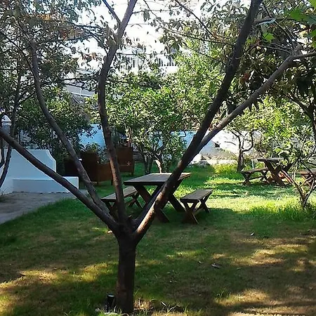 Iz Birak Butik Marina מלון